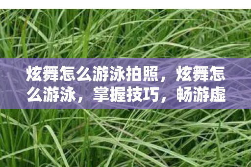 炫舞怎么游泳拍照，炫舞怎么游泳，掌握技巧，畅游虚拟世界