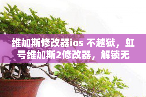 维加斯修改器ios 不越狱,虹号维加斯2修改器,解锁无限可能的游戏新体验 维加斯修改器ios 不越狱,虹号维加斯2修改器,解锁无限可能的游戏新体验