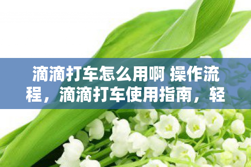 滴滴打车怎么用啊 操作流程，滴滴打车使用指南，轻松掌握出行技巧