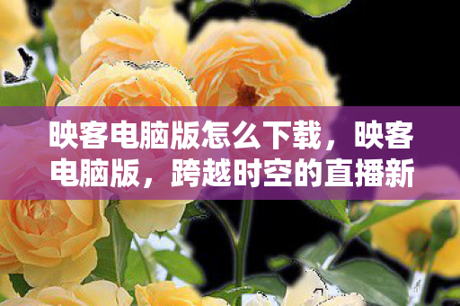 映客电脑版怎么下载,映客电脑版,跨越时空的直播新体验 映客电脑版怎么下载,映客电脑版,跨越时空的直播新体验
