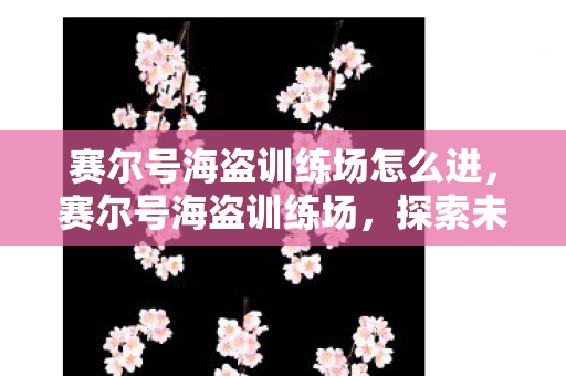 赛尔号海盗训练场怎么进，赛尔号海盗训练场，探索未知，挑战极限