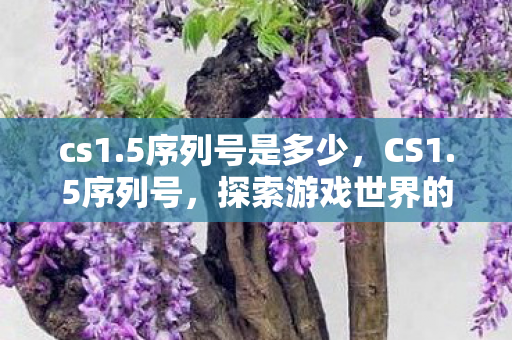 cs1.5序列号是多少,CS1.5序列号,探索游戏世界的独特通行证 cs1.5序列号是多少,CS1.5序列号,探索游戏世界的独特通行证