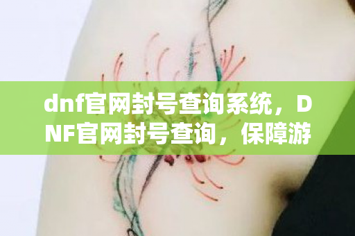 dnf官网封号查询系统,DNF官网封号查询,保障游戏公平与安全的重要工具 dnf官网封号查询系统,DNF官网封号查询,保障游戏公平与安全的重要工具