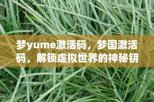 梦yume激活码，梦国激活码，解锁虚拟世界的神秘钥匙