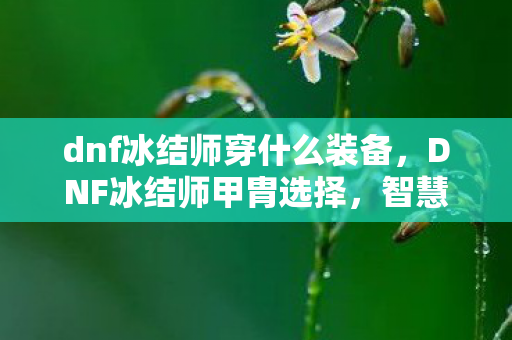 dnf冰结师穿什么装备,DNF冰结师甲胄选择,智慧与力量的平衡 dnf冰结师穿什么装备,DNF冰结师甲胄选择,智慧与力量的平衡