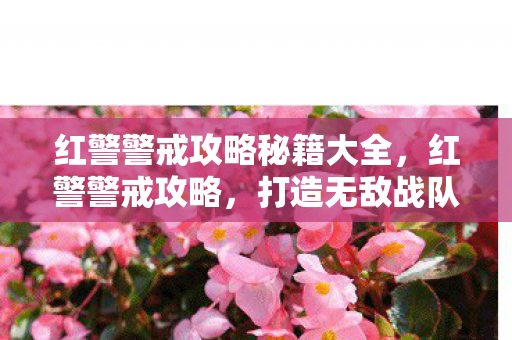 红警警戒攻略秘籍大全,红警警戒攻略,打造无敌战队的策略与技巧 红警警戒攻略秘籍大全,红警警戒攻略,打造无敌战队的策略与技巧