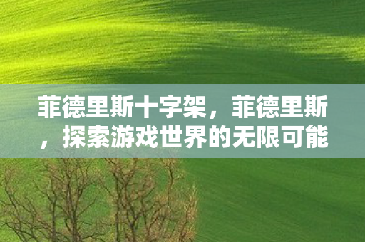 菲德里斯十字架，菲德里斯，探索游戏世界的无限可能