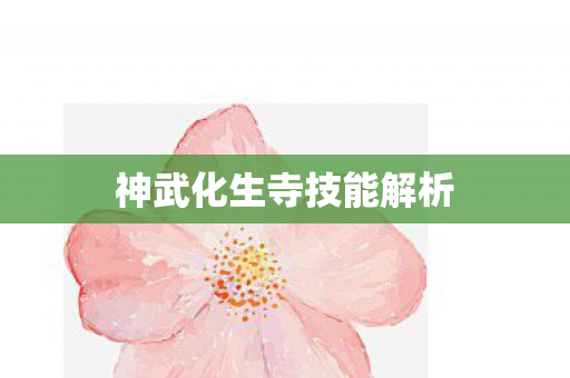 神武化生寺技能解析