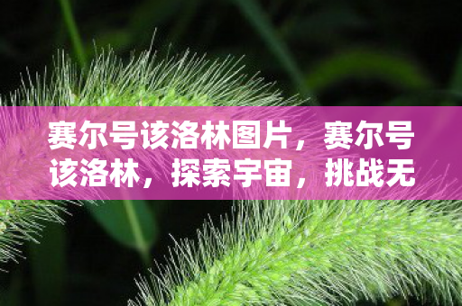 赛尔号该洛林图片,赛尔号该洛林,探索宇宙,挑战无限可能 赛尔号该洛林图片,赛尔号该洛林,探索宇宙,挑战无限可能