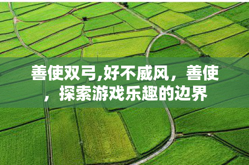 善使双弓,好不威风，善使，探索游戏乐趣的边界