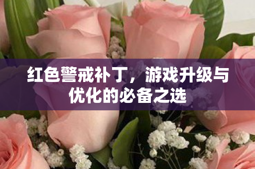 红色警戒补丁，游戏升级与优化的必备之选