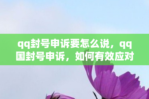 qq封号申诉要怎么说,qq国封号申诉,如何有效应对和解决账号被封问题 qq封号申诉要怎么说,qq国封号申诉,如何有效应对和解决账号被封问题