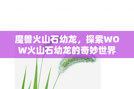 魔兽火山石幼龙,探索WOW火山石幼龙的奇妙世界 魔兽火山石幼龙,探索WOW火山石幼龙的奇妙世界