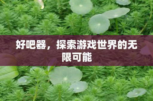 好吧器,探索游戏世界的无限可能 好吧器,探索游戏世界的无限可能