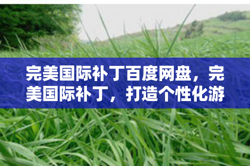 完美国际补丁百度网盘,完美国际补丁,打造个性化游戏体验 完美国际补丁百度网盘,完美国际补丁,打造个性化游戏体验