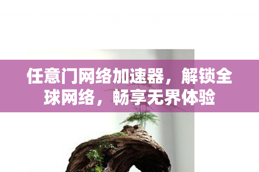 任意门网络加速器,解锁全球网络,畅享无界体验 任意门网络加速器,解锁全球网络,畅享无界体验