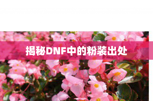 揭秘DNF中的粉装出处