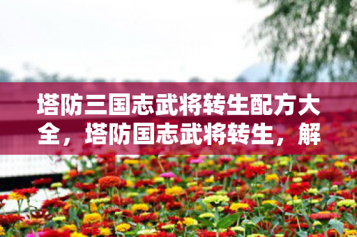 塔防三国志武将转生配方大全，塔防国志武将转生，解锁新境界的奥秘