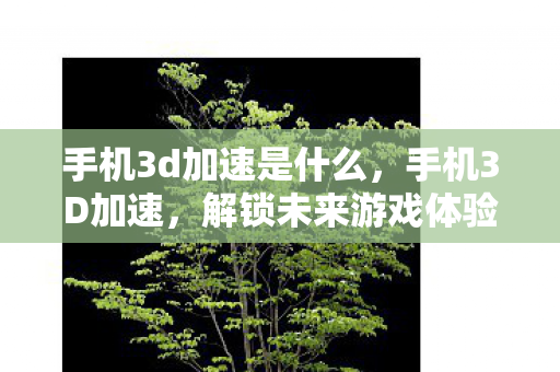 手机3d加速是什么，手机3D加速，解锁未来游戏体验的钥匙