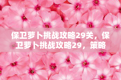 保卫萝卜挑战攻略29关，保卫萝卜挑战攻略29，策略与技巧的深度剖析