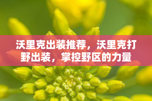 沃里克出装推荐,沃里克打野出装,掌控野区的力量 沃里克出装推荐,沃里克打野出装,掌控野区的力量