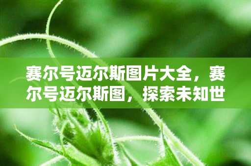 赛尔号迈尔斯图片大全,赛尔号迈尔斯图,探索未知世界的奇妙之旅 赛尔号迈尔斯图片大全,赛尔号迈尔斯图,探索未知世界的奇妙之旅