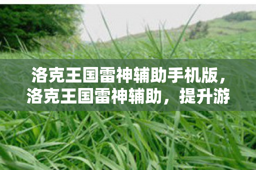 洛克王国雷神辅助手机版，洛克王国雷神辅助，提升游戏体验的得力助手