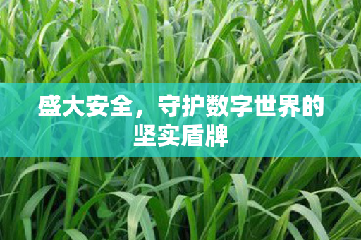 盛大安全，守护数字世界的坚实盾牌