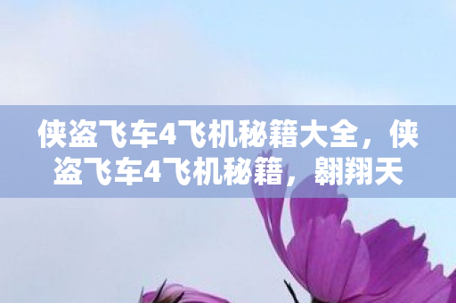 侠盗飞车4飞机秘籍大全,侠盗飞车4飞机秘籍,翱翔天际的飞行秘籍 侠盗飞车4飞机秘籍大全,侠盗飞车4飞机秘籍,翱翔天际的飞行秘籍