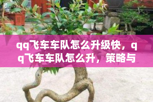 qq飞车车队怎么升级快,qq飞车车队怎么升,策略与技巧 qq飞车车队怎么升级快,qq飞车车队怎么升,策略与技巧