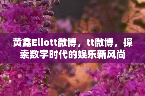 黄鑫Eliott微博,tt微博,探索数字时代的娱乐新风尚 黄鑫Eliott微博,tt微博,探索数字时代的娱乐新风尚