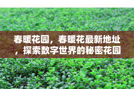 春暖花园，春暖花最新地址，探索数字世界的秘密花园