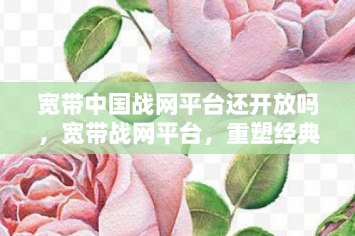 宽带中国战网平台还开放吗，宽带战网平台，重塑经典，引领数字娱乐新风尚