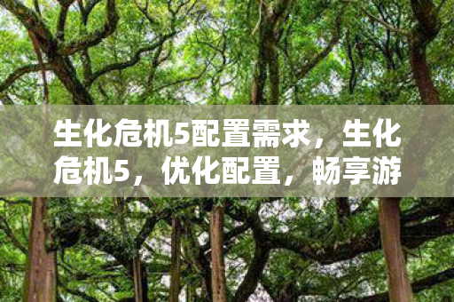 生化危机5配置需求,生化危机5,优化配置,畅享游戏盛宴 生化危机5配置需求,生化危机5,优化配置,畅享游戏盛宴
