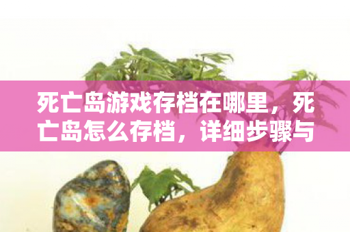 死亡岛游戏存档在哪里，死亡岛怎么存档，详细步骤与注意事项