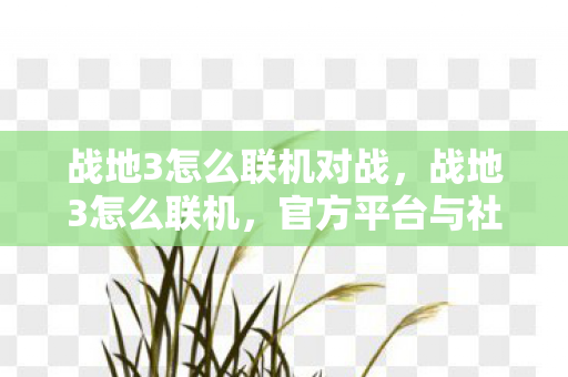 战地3怎么联机对战，战地3怎么联机，官方平台与社区服务器的联机攻略