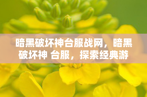 暗黑破坏神台服战网，暗黑破坏神 台服，探索经典游戏的本地化之旅