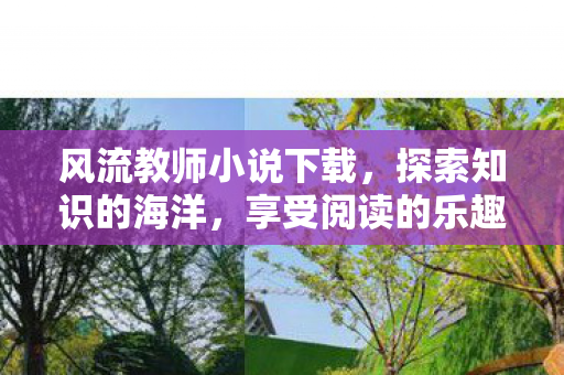 风流教师小说下载，探索知识的海洋，享受阅读的乐趣