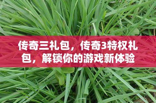传奇三礼包，传奇3特权礼包，解锁你的游戏新体验