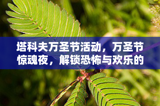 塔科夫万圣节活动,万圣节惊魂夜,解锁恐怖与欢乐的奇妙碰撞 塔科夫万圣节活动,万圣节惊魂夜,解锁恐怖与欢乐的奇妙碰撞
