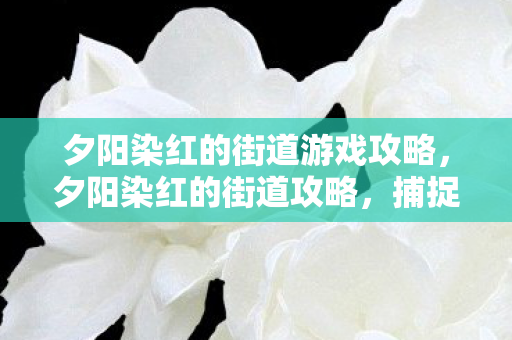 夕阳染红的街道游戏攻略，夕阳染红的街道攻略，捕捉浪漫余晖的旅行指南