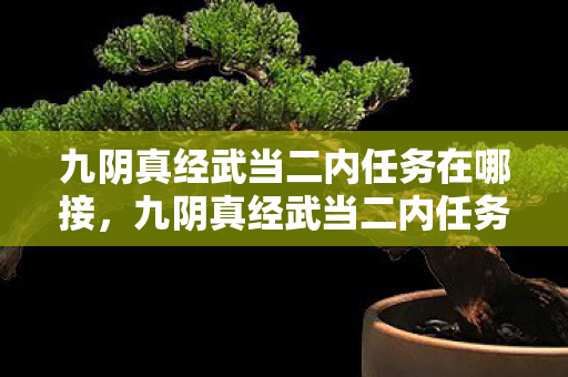 九阴真经武当二内任务在哪接,九阴真经武当二内任务,探寻武学真谛的修行之旅 九阴真经武当二内任务在哪接,九阴真经武当二内任务,探寻武学真谛的修行之旅