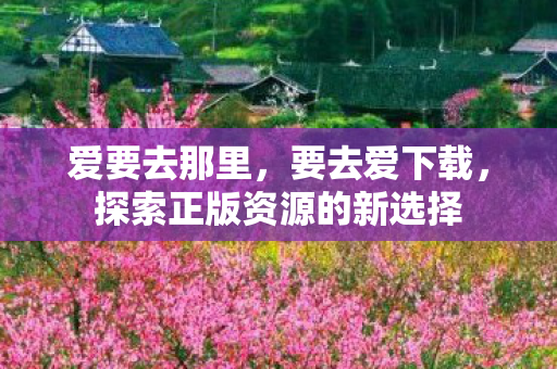 爱要去那里，要去爱下载，探索正版资源的新选择