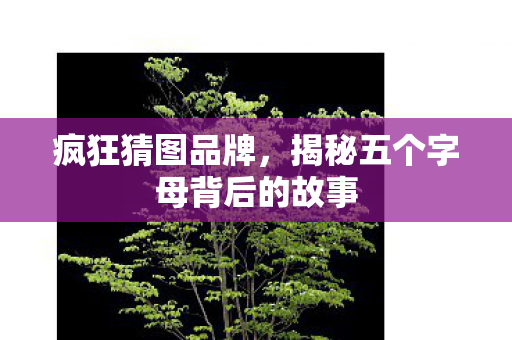 疯狂猜图品牌，揭秘五个字母背后的故事
