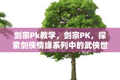 剑宗Pk教学，剑宗PK，探索剑侠情缘系列中的武侠世界