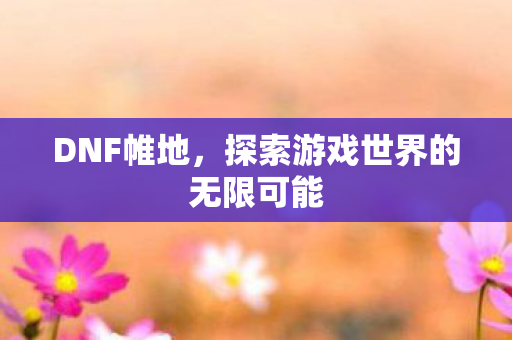 DNF帷地,探索游戏世界的无限可能 DNF帷地,探索游戏世界的无限可能