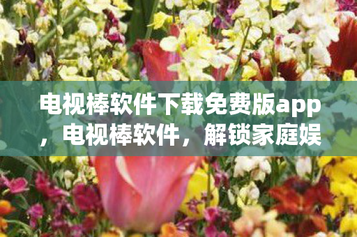 电视棒软件下载免费版app，电视棒软件，解锁家庭娱乐新体验