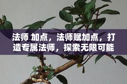 法师 加点,法师赋加点,打造专属法师,探索无限可能 法师 加点,法师赋加点,打造专属法师,探索无限可能