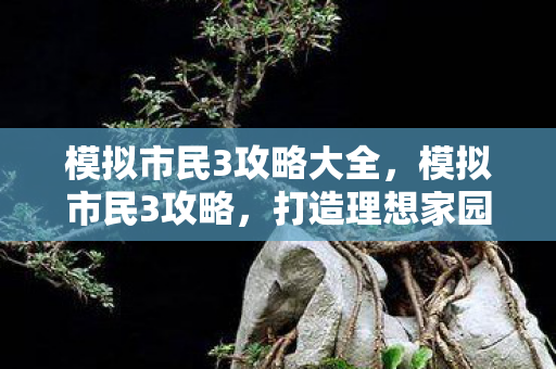 模拟市民3攻略大全,模拟市民3攻略,打造理想家园的秘诀 模拟市民3攻略大全,模拟市民3攻略,打造理想家园的秘诀