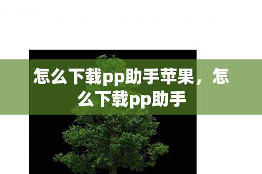怎么下载pp助手苹果,怎么下载pp助手 怎么下载pp助手苹果,怎么下载pp助手